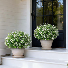 FOTEEWL topiary balls in black pots offer ready-to-display outdoor elegance without assembly.