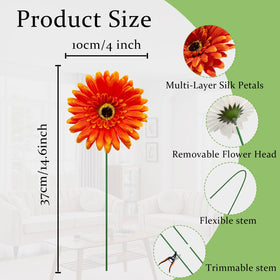 FOUSUKA daisies with detachable heads and stems ready for customization