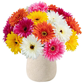 FOUSUKA Gerbera daisy heads with stiff stems for quick DIY bouquets
