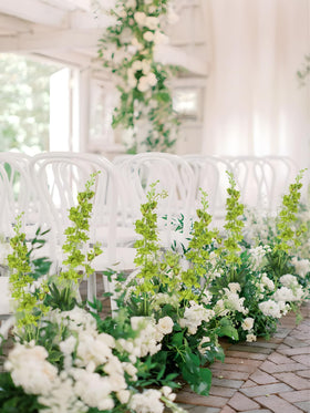 Fqueelvys delphinium vase display in a modern living room