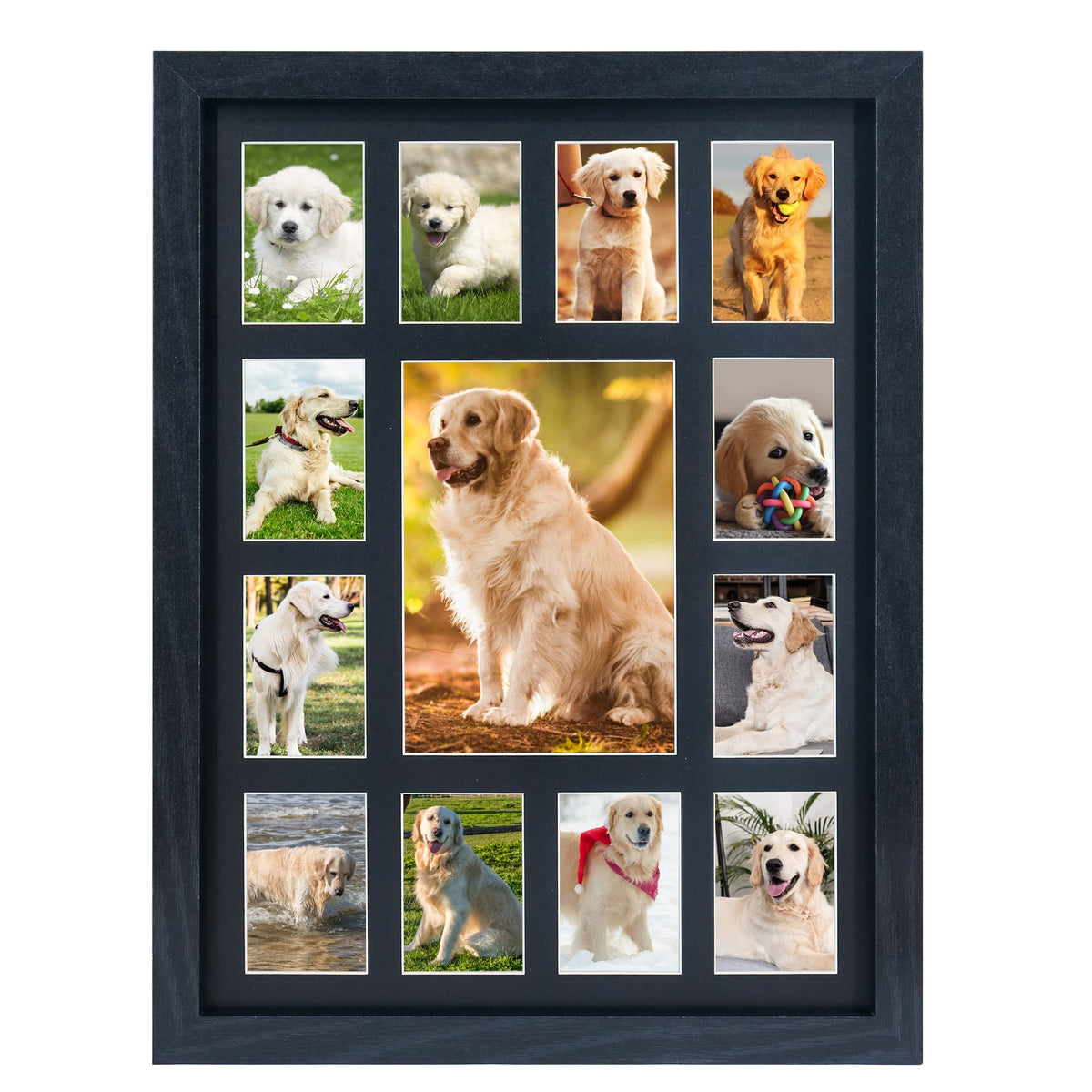 FramePro multipurpose frame suits newborns, students, pets, and annual family portraits.