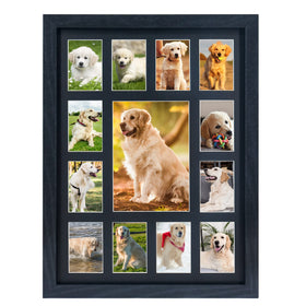 FramePro multipurpose frame suits newborns, students, pets, and annual family portraits.