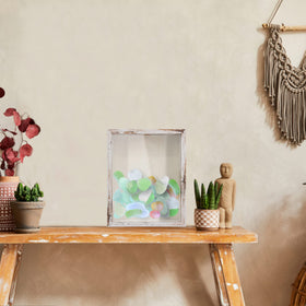 FramePro seashell collection ready-to-display keepsakes