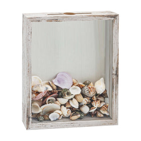 FramePro small shadow box front view showing seashell display for memories