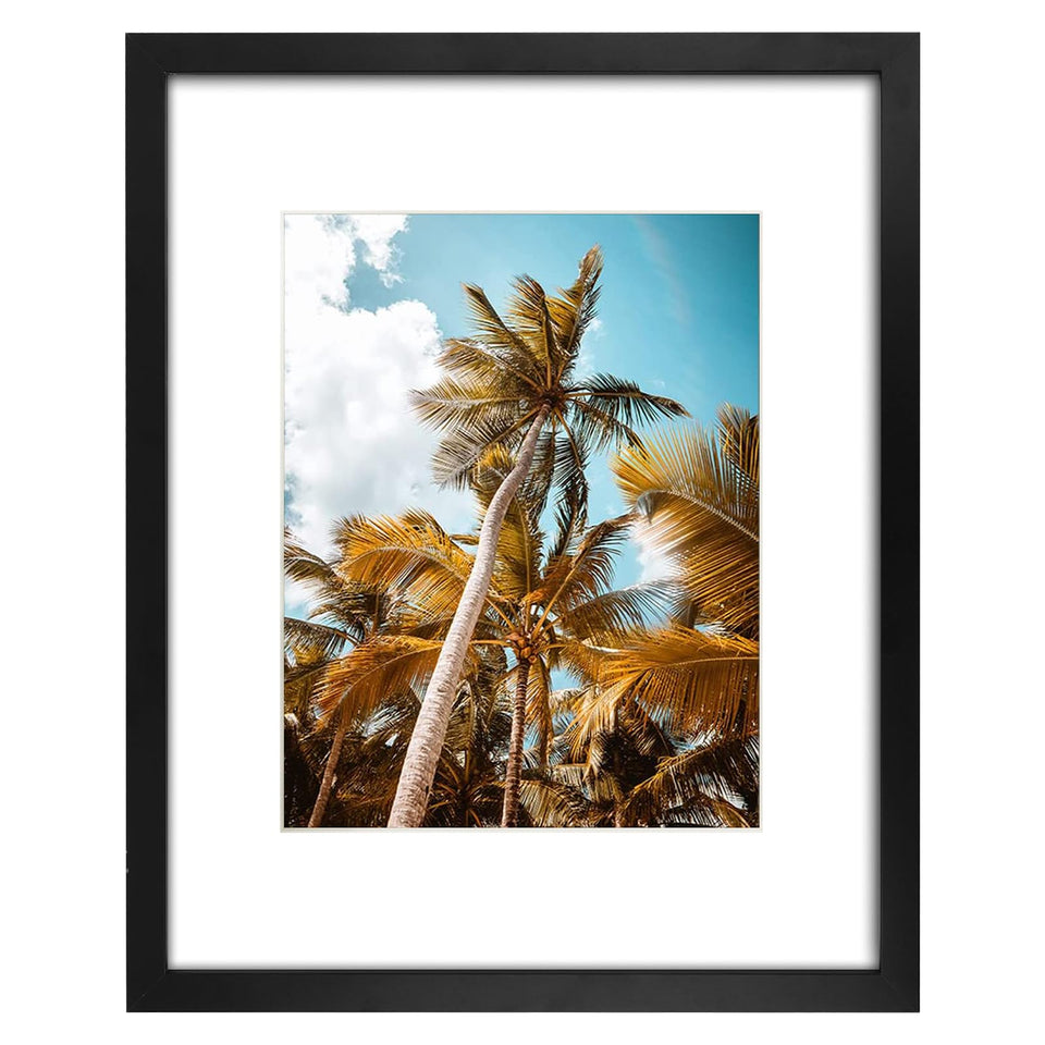 Frametory 16x20 black frame with mat for gallery-style display at home