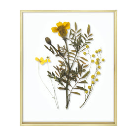 Frametory 16x20 floating frame with gold front glass for wall display.