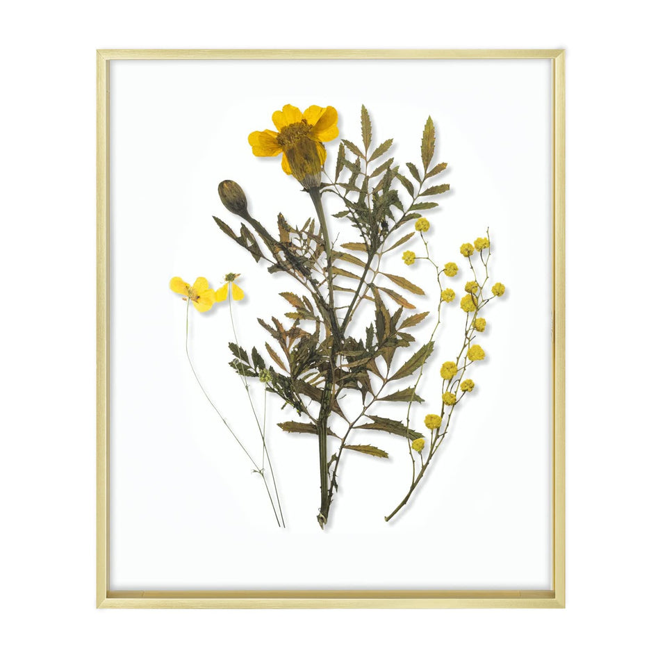Frametory 16x20 floating frame with gold front glass for wall display.