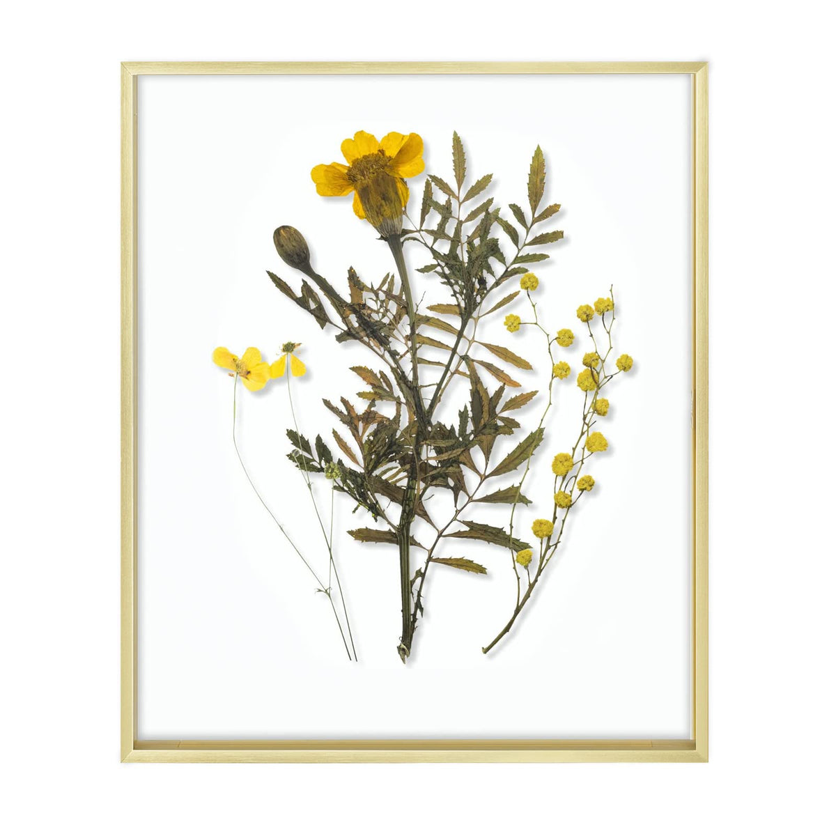 Frametory 16x20 floating frame with gold front glass for wall display.