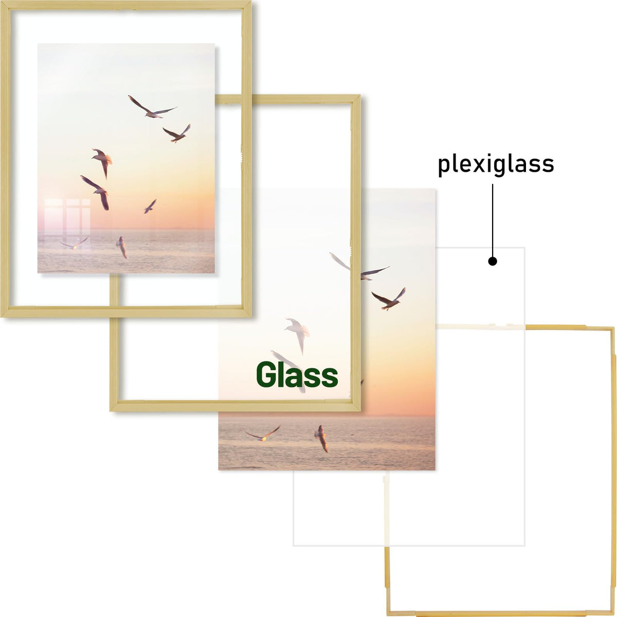 Frametory dot glue for flowers secures dried blooms in the frame.
