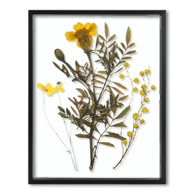 Frametory floating frame 11x14 with glass front for wall mounting