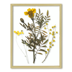 Frametory floating frame 11x14 with gold front glass for premium wall display.