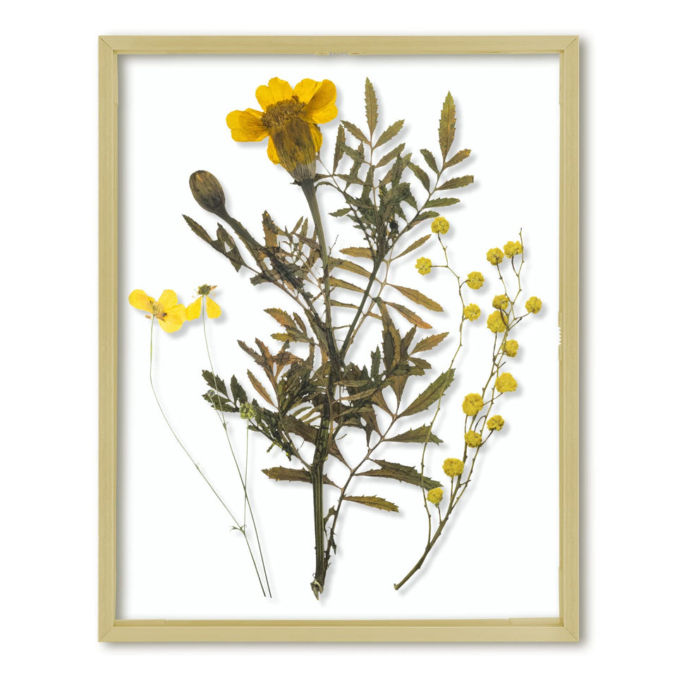 Frametory floating frame 11x14 with gold front glass for premium wall display.