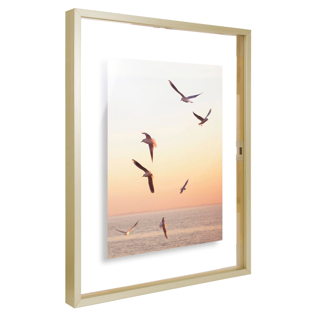 Frametory plexiglass back panel keeps items aligned and protected.