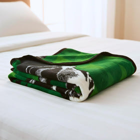 Franco cozy throw on sofa, soft warmth ideal for bedtime and lounging.