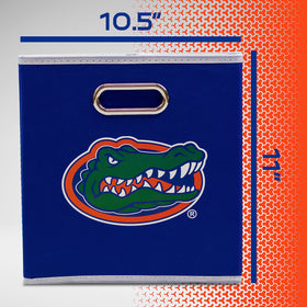 Franklin Sports NCAA bin on a shelf ready to organize magazines and toys.