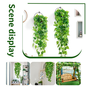 Freylife hanging plants wall decor enhances room styling