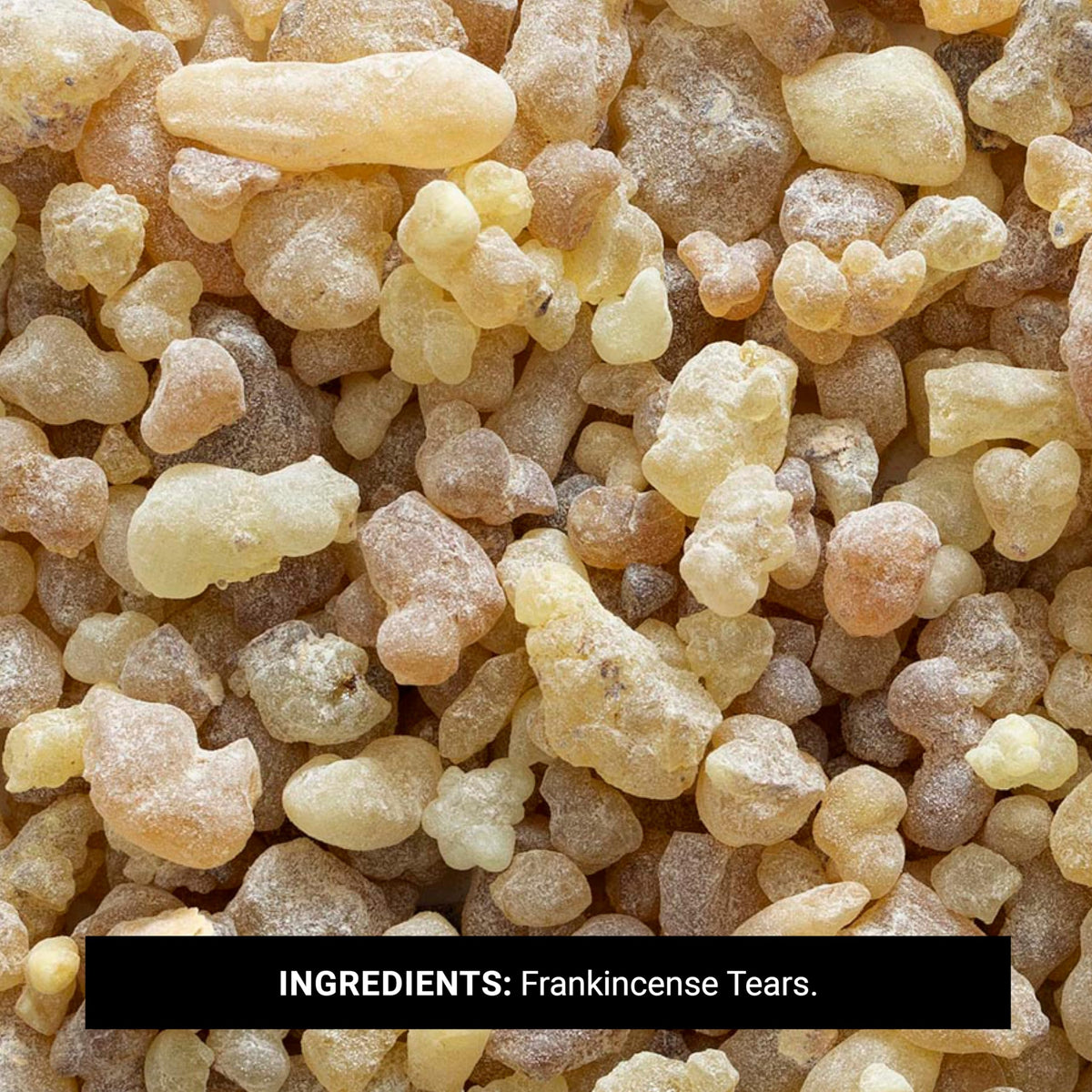 Frontier Co-op Frankincense Tears on charcoal during burn, releasing woodsy notes.