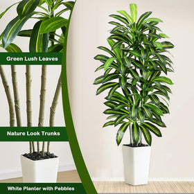FSOHOI dracaena tree corner placement for office or home