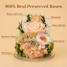 FUHITIM preserved-rose-home-decor—colorful accent with minimal maintenance