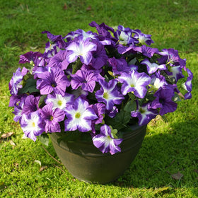 FULLMUSIC faux silk morning glory plants for front door planters add year-round color.