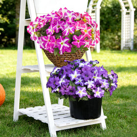 FULLMUSIC durable outdoor decor that resists wilting and fading over time.