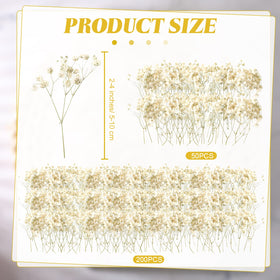 Fumete dried baby's breath ivory stems for centerpieces and displays