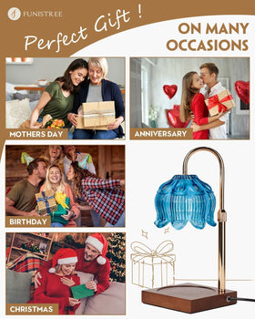 Funistree gift-ready packaging with bulbs and manual included
