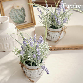 Fuxdre lavender plant detail showing tender leaves and texture.