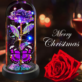 Fvawe colorful rose dome glow brightens any desk or shelf