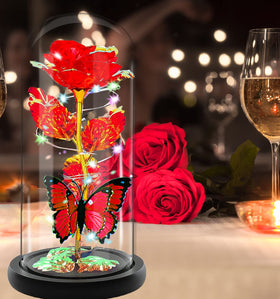 Fvawe gift-set rose in dome ideal for Mother's Day gifting.