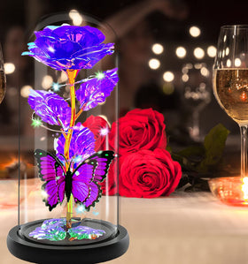 Fvawe LED-lit rose dome enhances birthdays with soft illumination.