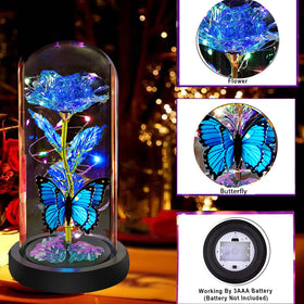 fvawe mothers-day rose with light-dome creates a lasting keepsake.