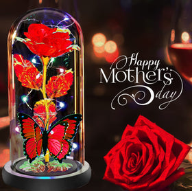 Fvawe rose in glass dome packaged as an elegant ready-to-gift present.