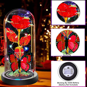 Fvawe rose under glass dome serving as a timeless decorative centerpiece.