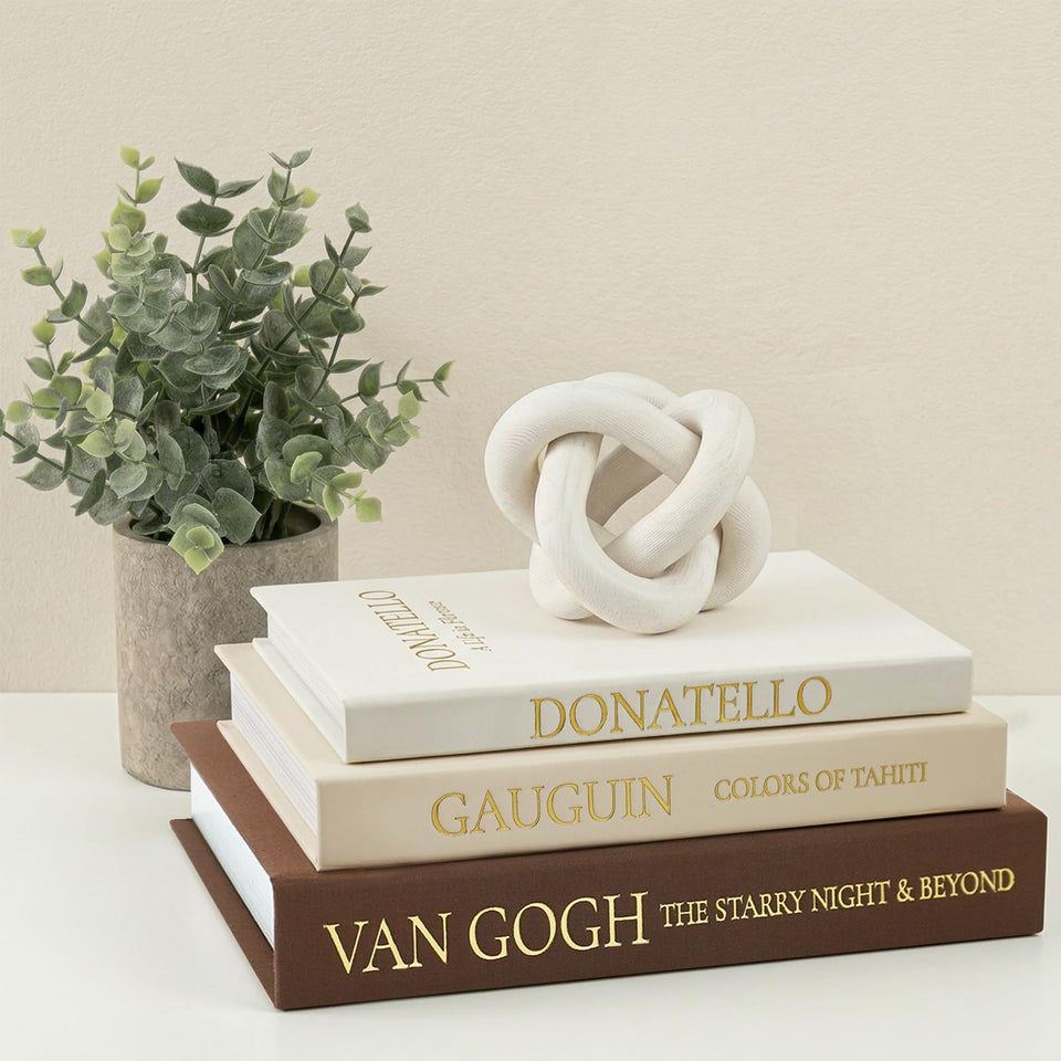 Fveuc Vintage Faux Book Box Set large on shelf enhances warm decor and display.