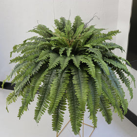 Shows 30-inch height and 50-inch spread for dramatic decor
