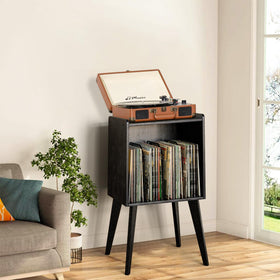 Gannyfer stand showing 160-album capacity for organized records