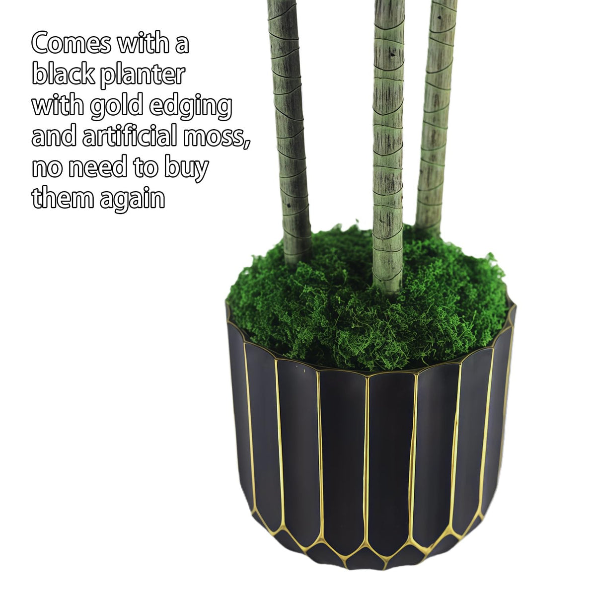Gaoqisi 48in Dracaena leaves detail highlights lifelike texture and color variation.