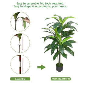Gaoqisi 48in Dracaena bathed in warm light enhances its lush leaves and depth.