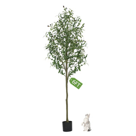 Gaoqisi 6ft olive tree with natural trunk and branches enhances living spaces.