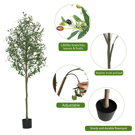 Gaoqisi 6ft office decor setup creates a natural ambiance.