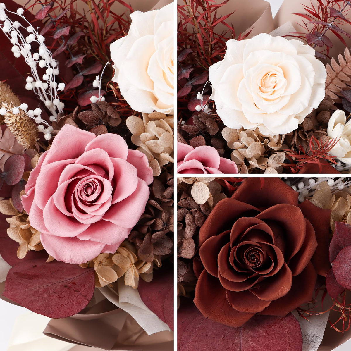 Gcchobv preserved close-up petals caramel highlights texture and color longevity