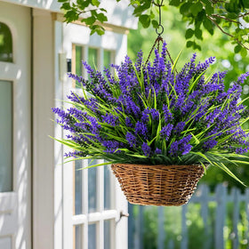 Geegoods easy-care maintenance requires no watering or pruning