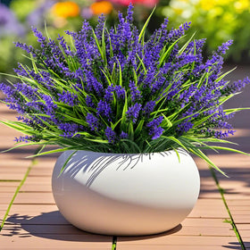 Geegoods lavender flowers close-up, realistic texture for outdoor use