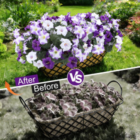 Geegoods lifelike blooms without plastic shine for natural charm