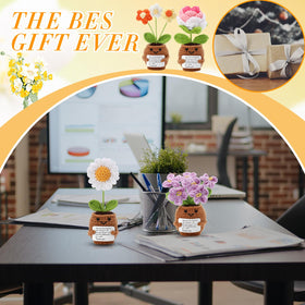 Geelin compact crochet plant pots ideal for shelves and desks