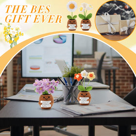 Geelin crochet-chamomile flower pot offers warm decor and positivity