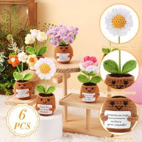 Geelin crochet-rose flower pot brings cheerful decor to any room