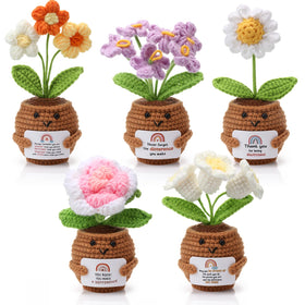 Geelin crochet flower pot with card brightens office desk and appreciation