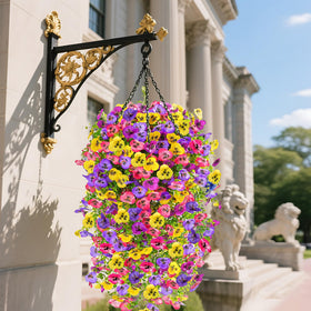 Generic hanging pansy flowers window boxes enhance curb appeal with easy maintenance.
